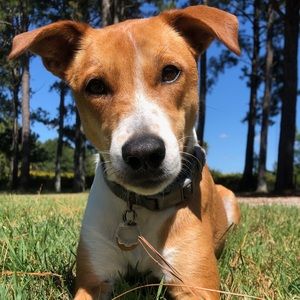 Meet your Posher, William